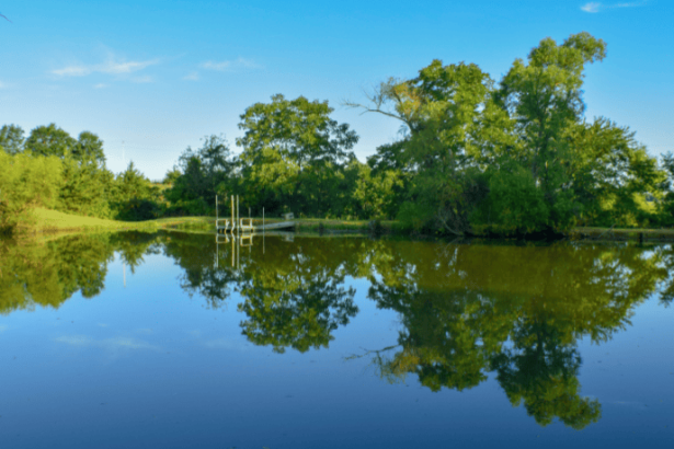 Renzo Bahury de Souza Ramos
