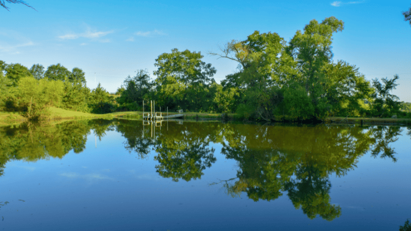 Renzo Bahury de Souza Ramos