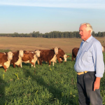 Aldo Vendramin mostra como o equilíbrio entre tradição e sustentabilidade tem redefinido o sucesso no agronegócio.