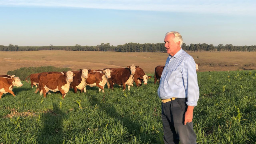 Aldo Vendramin mostra como o equilíbrio entre tradição e sustentabilidade tem redefinido o sucesso no agronegócio.