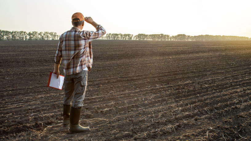 No artigo, João Eustáquio De Almeida Junior mostra como informações climáticas confiáveis são estratégicas para decisões mais seguras e produtivas na agricultura.