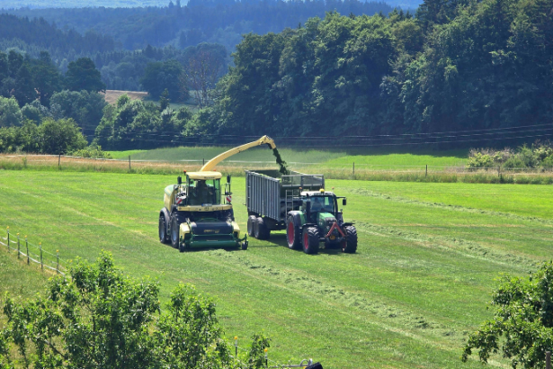 Decisões técnicas moldando o futuro da agricultura com Alfredo Moreira Filho.