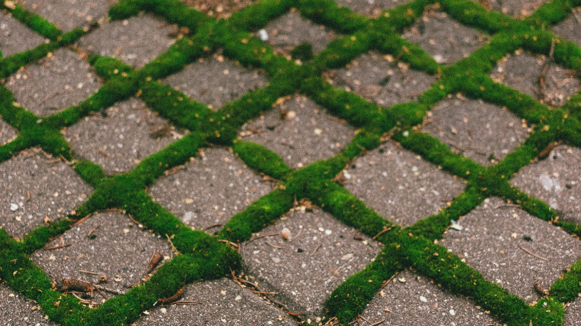 Valderci Malagosini Machado