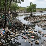 Felipe Schroeder dos Anjos
