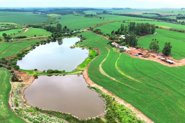 Vista aérea de áreas verdes extensas com campos e dois pequenos lagos.